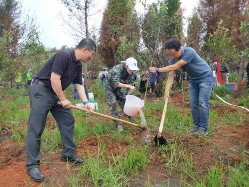 不忘合作初心 携手共植“同心林” 中国科学网www.minimouse.com.cn