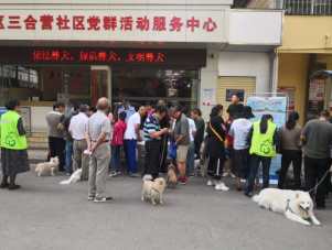 文明养犬 从为宠物犬办证开始 中国科学网www.minimouse.com.cn 文明养犬 从为宠物犬办证开始 中国科学网www.minimouse.com.cn