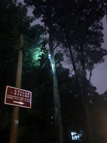 自然资源公安五华分局民警救助国家二级保护动物灰林鸮 中国科学网www.minimouse.com.cn