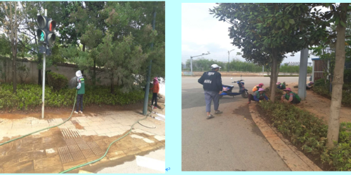 五华区住建局：关于西北片区沙河路、沙河北路等五条道路绿化整改的情况专报（第一期） 中国科学网www.minimouse.com.cn