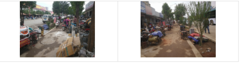 五华区住建局：关于西北片区沙河路、沙河北路等五条道路绿化整改的情况专报（第一期） 中国科学网www.minimouse.com.cn