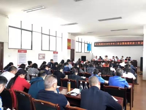 紧盯目标促发展 红云街道全面贯彻落实区委全会精神 中国科学网www.minimouse.com.cn