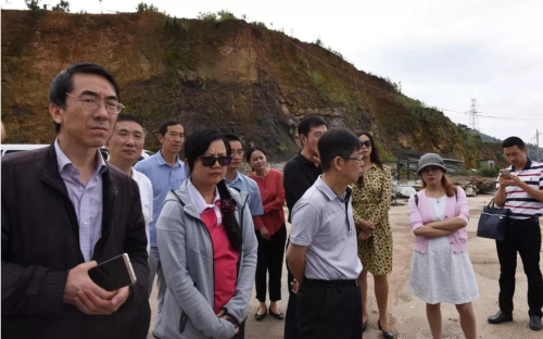 “大棚房”清理整治，我们在行动 中国科学网www.minimouse.com.cn