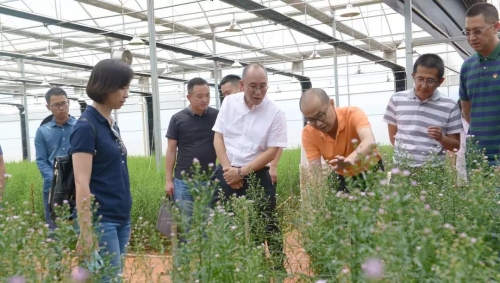 五华区开展“不忘初心，牢记使命”主题教育专题调研 中国科学网www.minimouse.com.cn