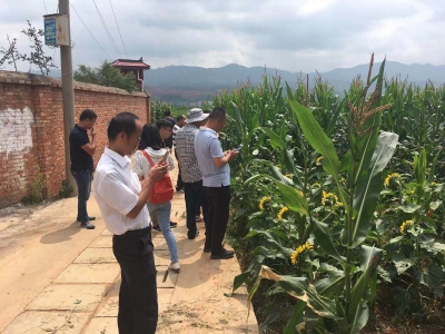 区农业、财政、街道办对稻鱼综合种养和花卉景观带打造项目进行验收  中国科学网www.minimouse.com.cn