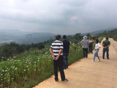 区农业、财政、街道办对稻鱼综合种养和花卉景观带打造项目进行验收  中国科学网www.minimouse.com.cn