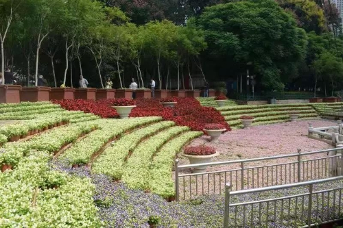 你发现没？昆明青年路、履善巷、金牛公园现在不一样了…… 中国科学网www.minimouse.com.cn