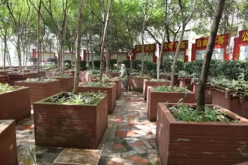 你发现没？昆明青年路、履善巷、金牛公园现在不一样了…… 中国科学网www.minimouse.com.cn