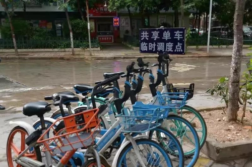 你发现没？昆明青年路、履善巷、金牛公园现在不一样了…… 中国科学网www.minimouse.com.cn