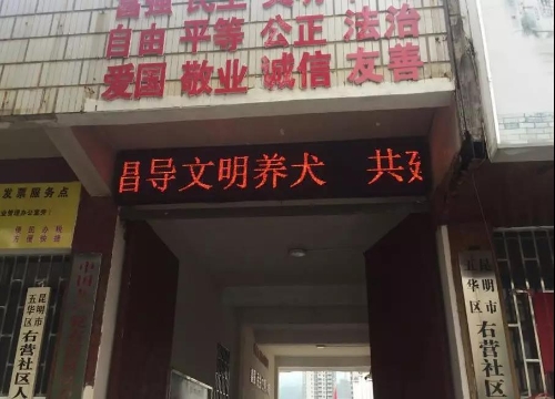 右营社区、龙锦社区、岗头社区开展文明养犬宣传活动 中国科学网www.minimouse.com.cn