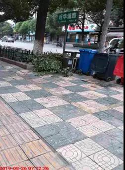 市容环境整治 | 整治提升“回头看”，前后对比效果好 中国科学网www.minimouse.com.cn