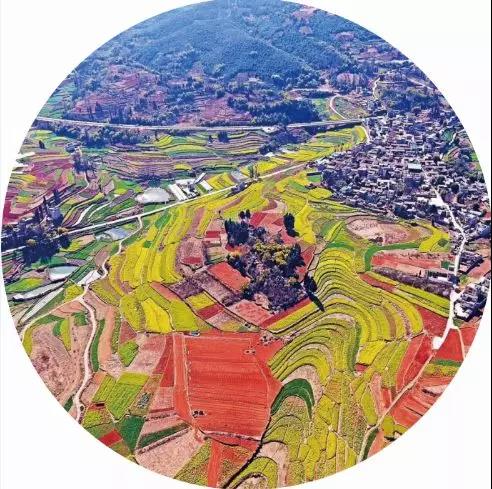 预告 | 农博会来了，五华展区等你来“盘”！ 中国科学网www.minimouse.com.cn