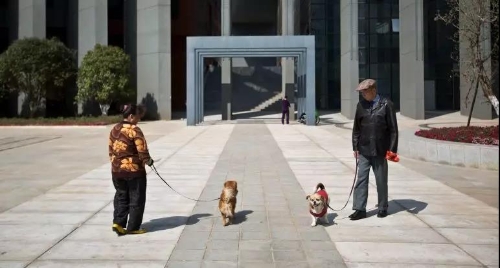 微信图片_20190905163101