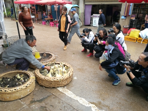 五华区图书馆举办五华区第二期人文摄影专题培训班  中国科学网www.minimouse.com.cn