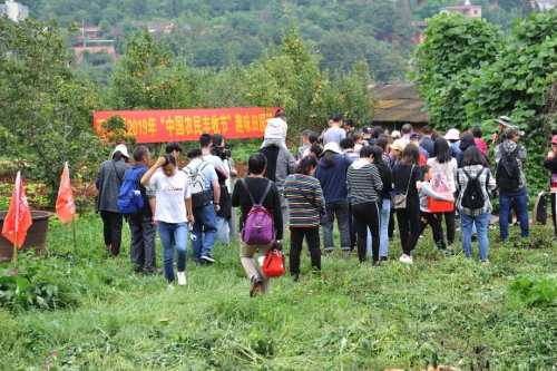 五华区举办“中国农民丰收节”欢乐田园活动 中国科学网www.minimouse.com.cn