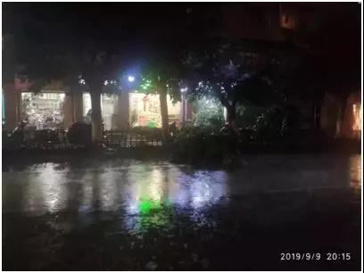 市容环境整治 | 部署下一步工作，继续提升市容“颜值” 中国科学网www.minimouse.com.cn