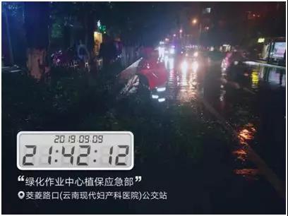 市容环境整治 | 部署下一步工作，继续提升市容“颜值” 中国科学网www.minimouse.com.cn