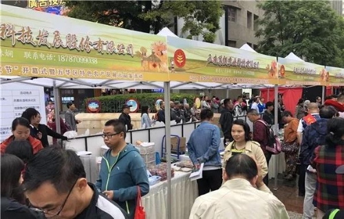 五华区2019年“中国农民丰收节”启幕 中国科学网www.minimouse.com.cn