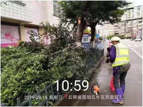 市容环境整治，五华一直在行动~ 中国科学网www.minimouse.com.cn