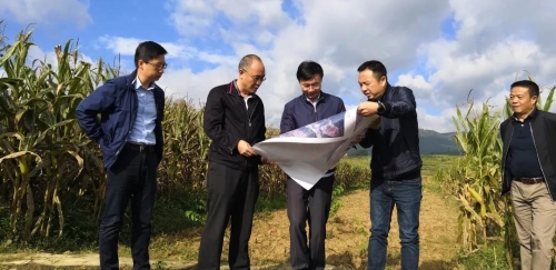 区委书记陈伟率队专题调研五华区农业产业发展及农村饮用水安全 中国科学网www.minimouse.com.cn