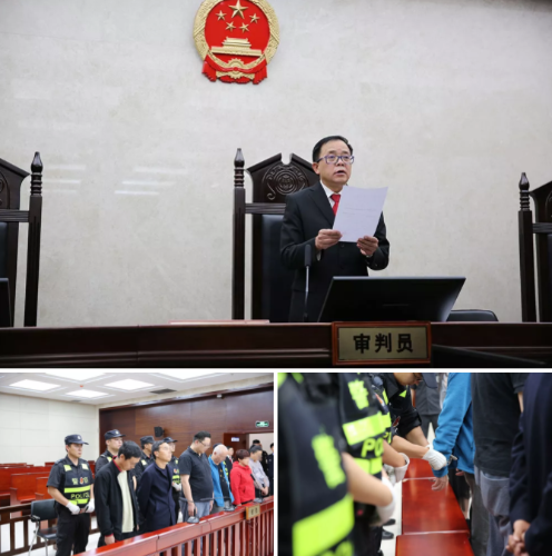 【春城利剑】五华法院执行局首个集中拘传拘留日 中国科学网www.minimouse.com.cn