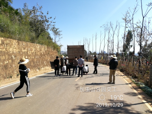 长虫山公园道路路面硬化工程完成交工质量检测 中国科学网www.minimouse.com.cn