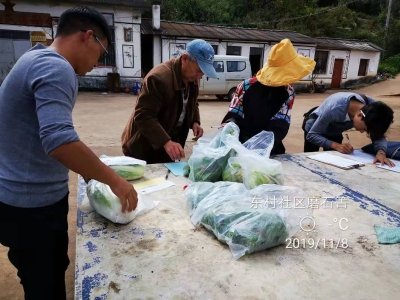 五华区开展年度第六次农产品（蔬菜、水果）质量安全监督抽查 中国科学网www.minimouse.com.cn