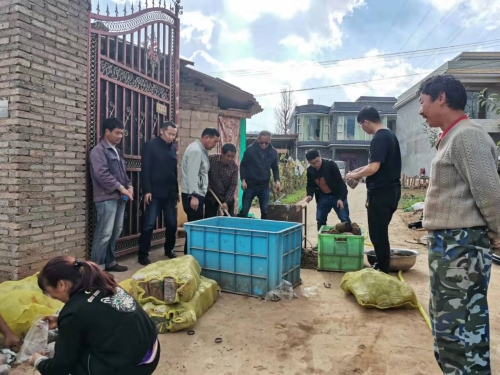 引进科学种植技术       推进乡村经济发展 中国科学网www.minimouse.com.cn