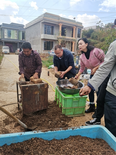 引进科学种植技术       推进乡村经济发展 中国科学网www.minimouse.com.cn