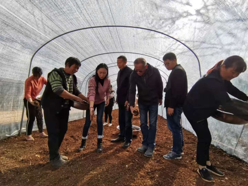 引进科学种植技术       推进乡村经济发展 中国科学网www.minimouse.com.cn