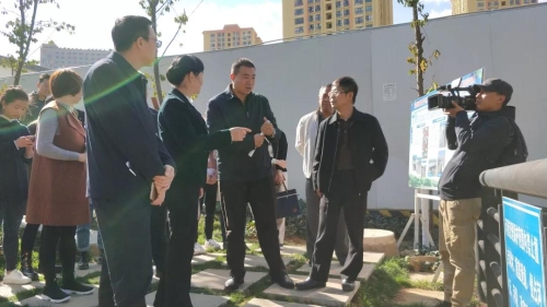 强化监督检查 全力推进河长制工作——熊瑞丽率队巡查新运粮河 中国科学网www.minimouse.com.cn