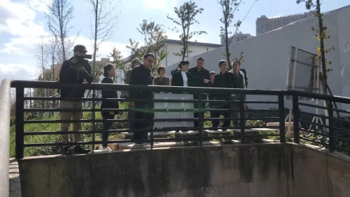 强化监督检查 全力推进河长制工作——熊瑞丽率队巡查新运粮河 中国科学网www.minimouse.com.cn