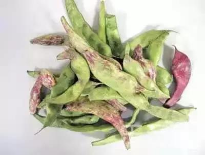 速读 | 五华时讯 中国科学网www.minimouse.com.cn