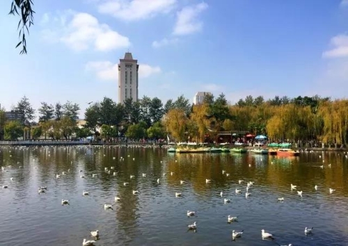 以文促旅 以旅彰文 推动五华文旅产业高质量发展 中国科学网www.minimouse.com.cn