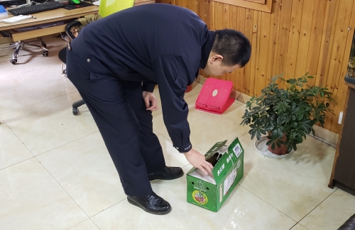 森林公安五华分局救助一只受伤池鹭 中国科学网www.minimouse.com.cn