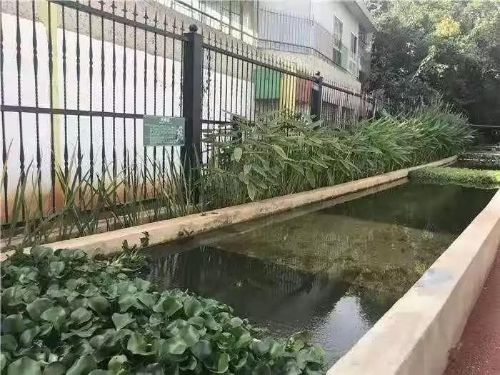 五华区办实事解难题交出满意答卷 中国科学网www.minimouse.com.cn