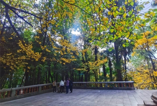 来五华，捡一片阳光带回家 中国科学网www.minimouse.com.cn