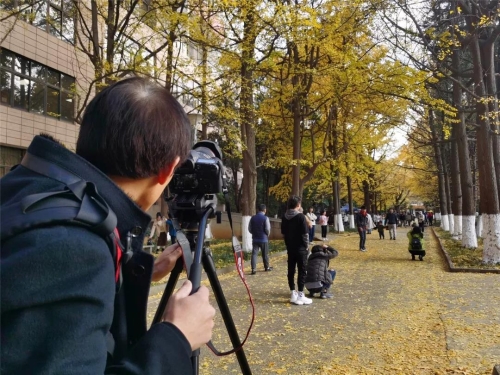 来五华，捡一片阳光带回家 中国科学网www.minimouse.com.cn