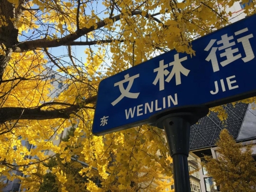 来五华，捡一片阳光带回家 中国科学网www.minimouse.com.cn