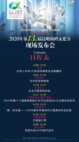 2020年第十三届昆明海鸥文化节明天在昆开幕！ 中国科学网www.minimouse.com.cn