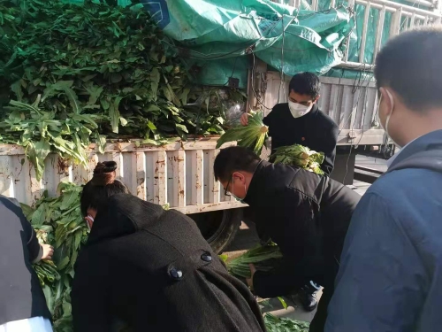 爱洒幸福家园社区——生鲜蔬菜免费送 中国科学网www.minimouse.com.cn