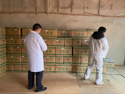 抗疫防控 | 46.8万枚鸡蛋，全力支援湖北抗疫前线 中国科学网www.minimouse.com.cn