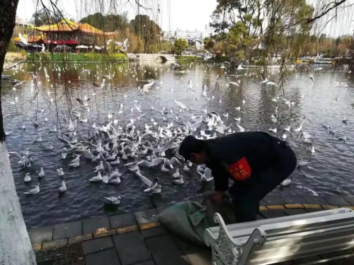 抗击疫情 行动就是最美的“请战书” 中国科学网www.minimouse.com.cn