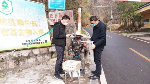区委领导深入黑林铺街道开展检查指导工作 中国科学网www.minimouse.com.cn