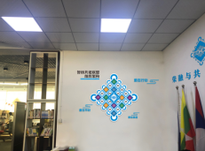 春晖社区民族团结进步示范社区创建项目建设进展情况汇报11.5391
