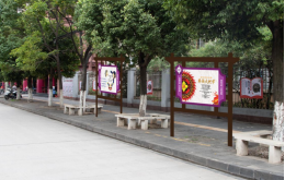 春晖社区民族团结进步示范社区创建项目建设进展情况汇报11.5882
