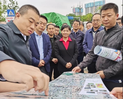 市领导率队巡查新运粮河并组织召开2020年度第三次新运粮河综合整治工作专题会 中国科学网www.minimouse.com.cn