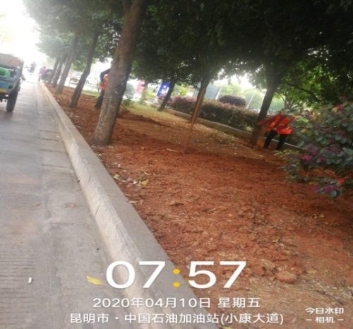 补种 绿地“斑秃”还是市民优美环境 中国科学网www.minimouse.com.cn