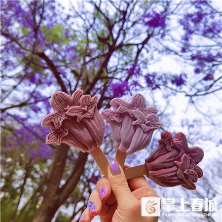 蓝花楹主题雪糕来了！2020年蓝花楹网络文化节启动啦 中国科学网www.minimouse.com.cn