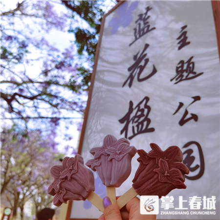蓝花楹主题雪糕来了！2020年蓝花楹网络文化节启动啦 中国科学网www.minimouse.com.cn